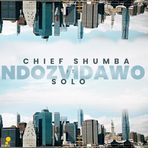 Ndozvidawo (feat. Solo Chidhakwa)