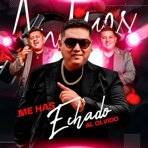 Me Has Echado al Olvido (En Vivo)