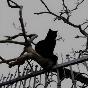 Hot Model Sex (Explicit)