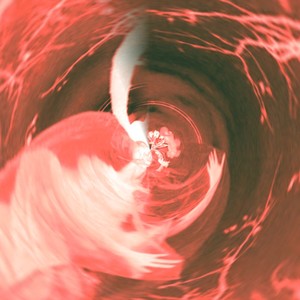 UNA ROSA MUERTA EN TU JARDÍN!