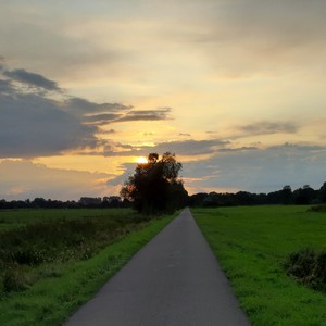 eli - Einsamkeit, verlorne Worte