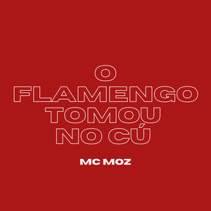 O Flamengo Tomou no Cú (Explicit)