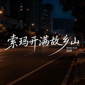 索玛开满故乡山 (抒情版)封面