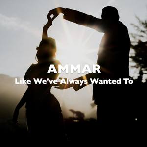 Like We Always Wanted to