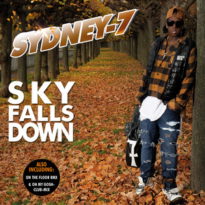 Sky Falls Down (Radio-Mix)