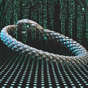 Belly of the Beast (feat. 919 Zero) (Explicit)