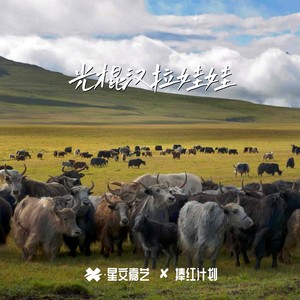 光棍汉拉娃娃封面