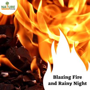 Blazing Fire and Rainy Night