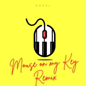 Mouse on my key (Henrifernand Remix)