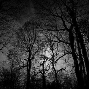 Confronting the Light