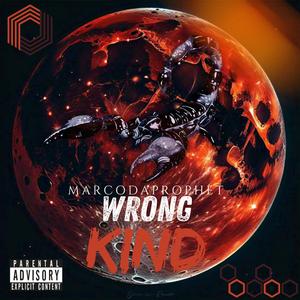 Wrong Kind (Explicit)