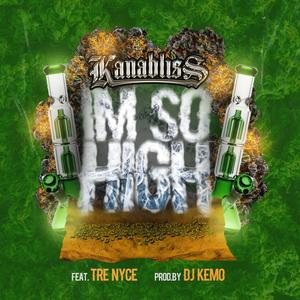 Im So High (feat. Tre Nyce & Djkemo) [Explicit]