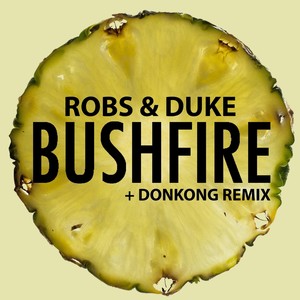 bushfire (donkong remix) - robs/duke - qq音乐-千万正版音乐海量