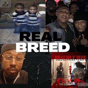 Real Breed (feat. Tamarcus Anderson Twin) [Explicit]