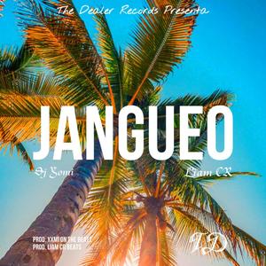 Jangueo (feat. LiamCR) [Explicit]