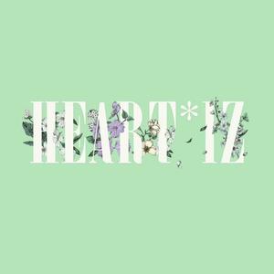 비올레타 (violeta)