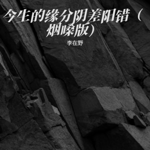 今生的缘分阴差阳错 (烟嗓版)