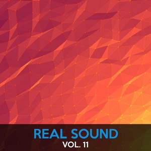 Real Sound, Vol. 11