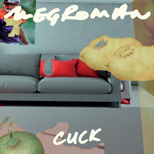 Cuck (Explicit)