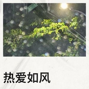 热爱如风-ljp