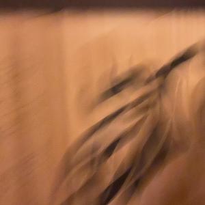 Emotional Hazard (Explicit)