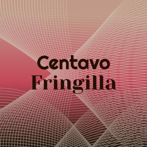 Centavo Fringilla