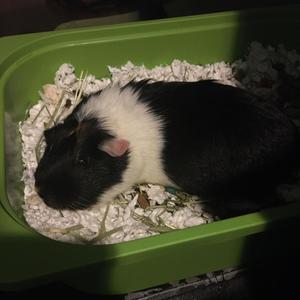 Johnathen Is Among The Beloved Ones