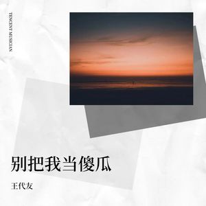 别把我当傻瓜 (伴奏)