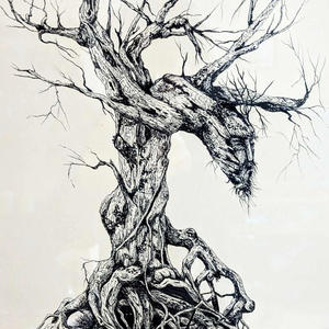 Jonathan Curtis - The Artist