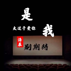 是我太过于爱你