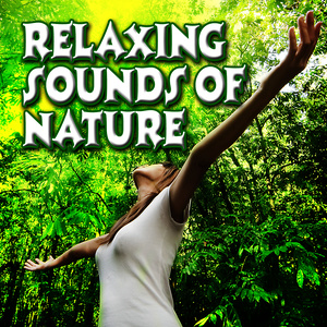 Relaxing Sounds of Nature