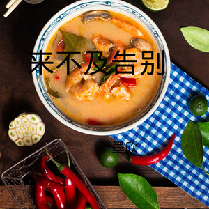 离别两依依 (DJ版)