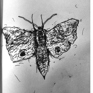 MOTH (feat. Asger Thomsen)