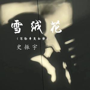 雪绒花（写给辛夷的歌）封面