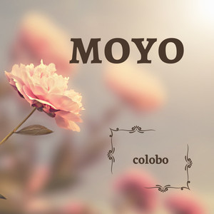 Moyo