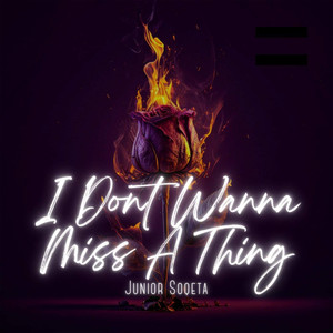 I Don't Wanna Miss A Thing