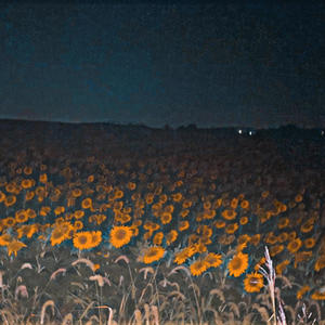 Problems 4 the Nite (feat. Boogi Bouji) (Explicit)