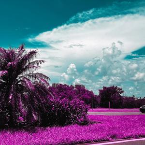 bland. (instrumental)