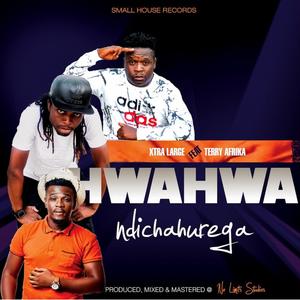 Hwahwa Ndichahurega (feat. Terry Afrika)