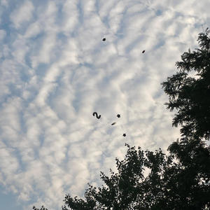 Dance (feat. 215jizzy)