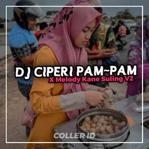DJ CIPERI PAM PAM X MELODY SULING KANE V2