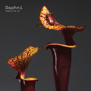3 In 1 (Daphni Edit)