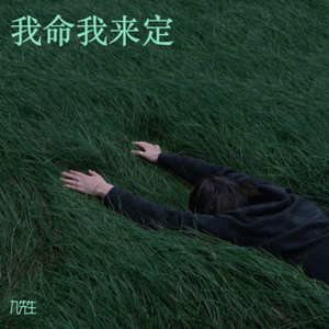 我命我来定 (Demo)