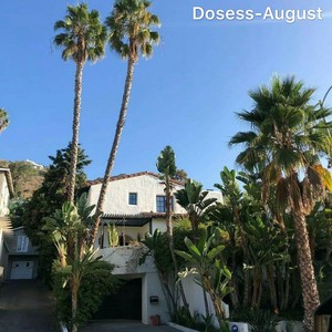 八月最火的硬曲