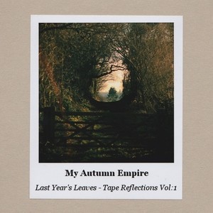 Last Year's Leaves - Tape Reflections Vol:1