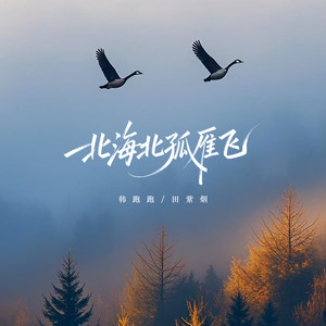北海北孤雁飞