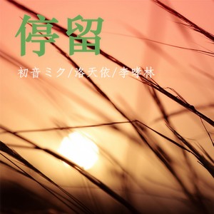 停留