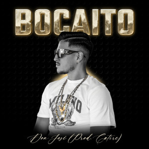 Bocaito