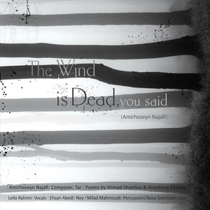 The Wind Is Dead, You Said