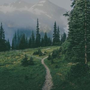 Lost in the valley (Explicit)